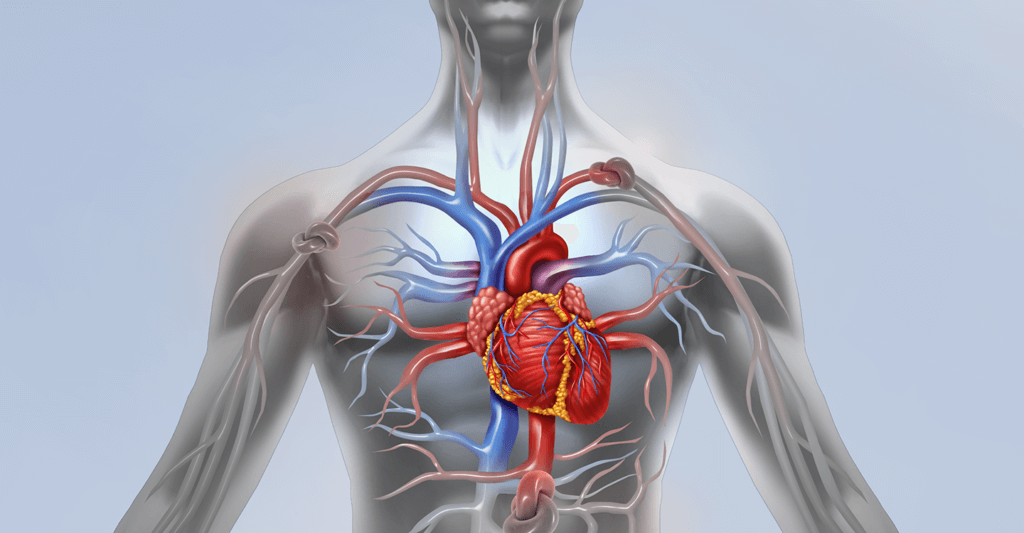 Read more about the article 10 Warning Signs of Poor Blood Circulation